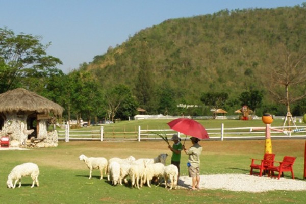 เลี้ยงแกะ แช่น้ำร้อน สุขทุกวัย @ สวนผึ้ง